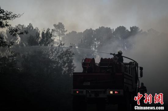 国际社会|法国西南部发生山火 150到200公顷松林过火