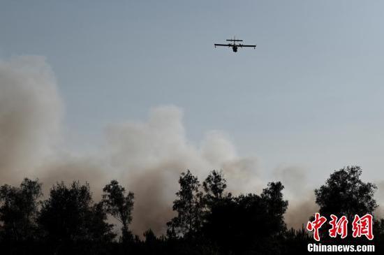 国际社会|法国西南部发生山火 150到200公顷松林过火