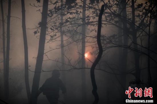 国际社会|法国西南部发生山火 150到200公顷松林过火