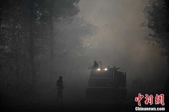 国际社会|法国西南部发生山火 150到200公顷松林过火