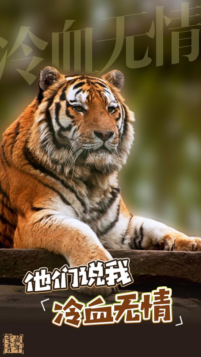 |嗷呜~嗷呜~嗷呜