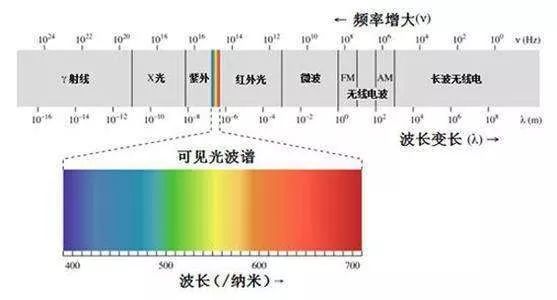 蓝光|暑假里这件事可能会伤害孩子，家长千万要注意｜特别关注