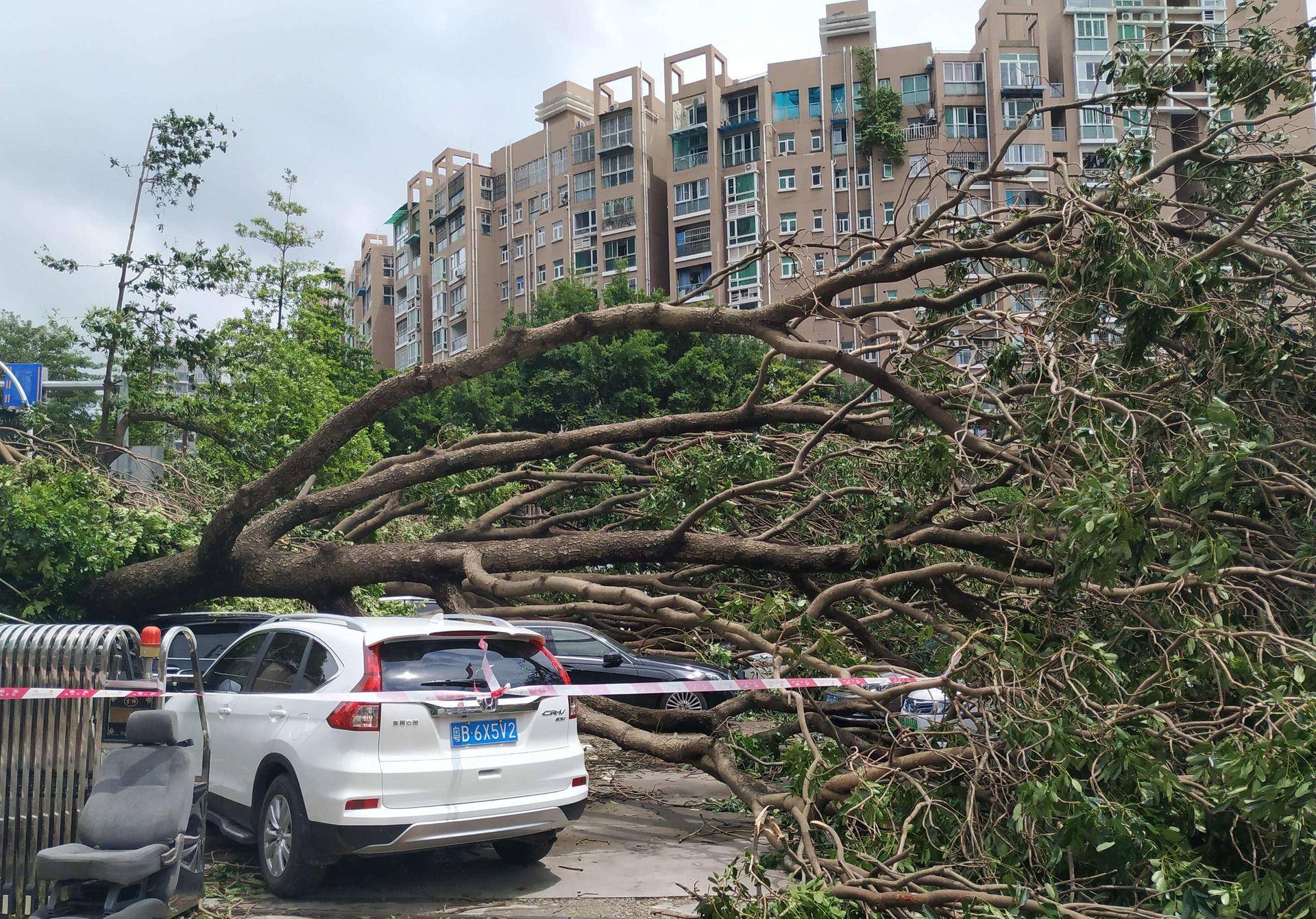 台风|3号台风“森拉克”预计什么时候登陆我国？受影响范围有多大？