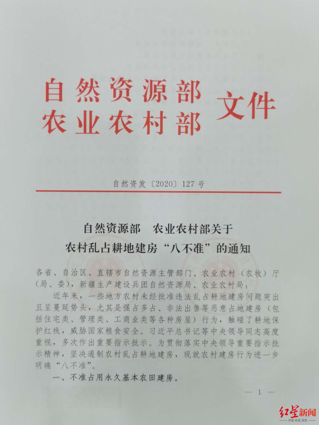 法律|自然资源部：不准买卖、流转耕地违法建房，监管不力者严肃追责