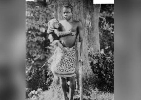 动物园|114年后,美国动物园终于道歉:不该把非洲人关在猴笼展览