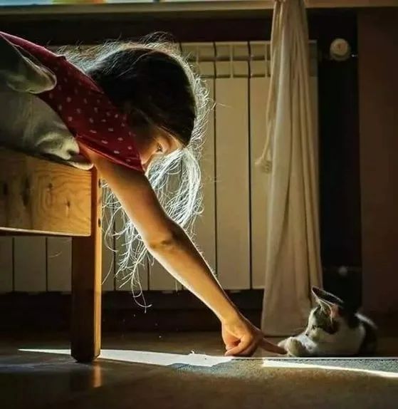 心理学|为什么有些人毫不费力、就特别讨人喜欢，和所有人都能打成一片？