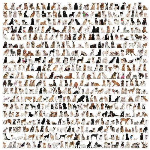 科学|生物还在进化吗？为什么感受不到新物种的诞生？