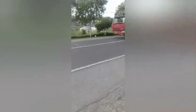 社会|车残志坚！两个前轮没了，货车竟还在路上跑……