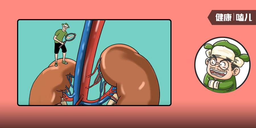 补肾|中国人所谓的补肾，很可能是在“雪上加霜”