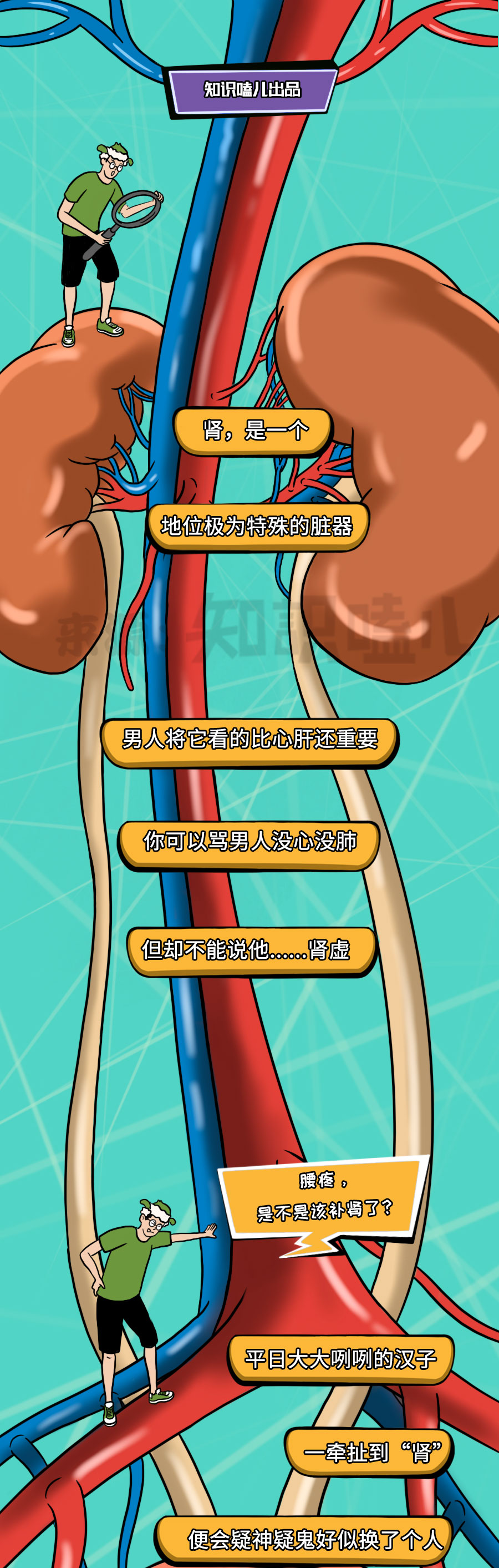 补肾|中国人所谓的补肾，很可能是在“雪上加霜”