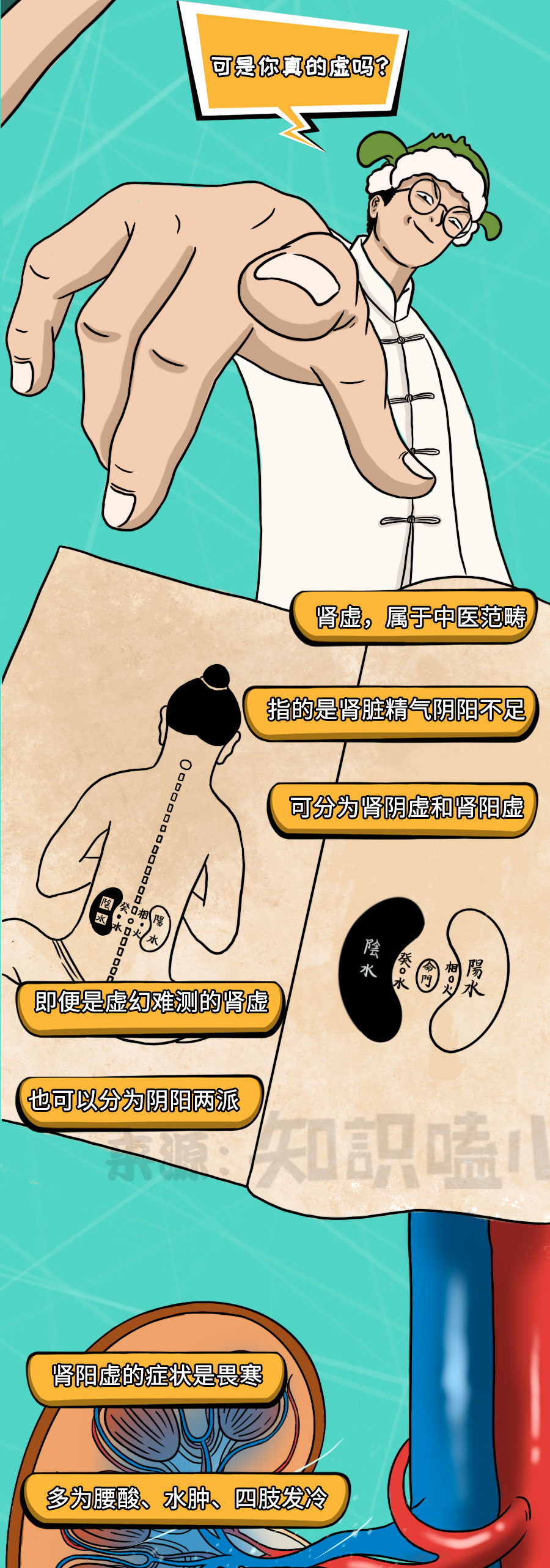 补肾|中国人所谓的补肾，很可能是在“雪上加霜”