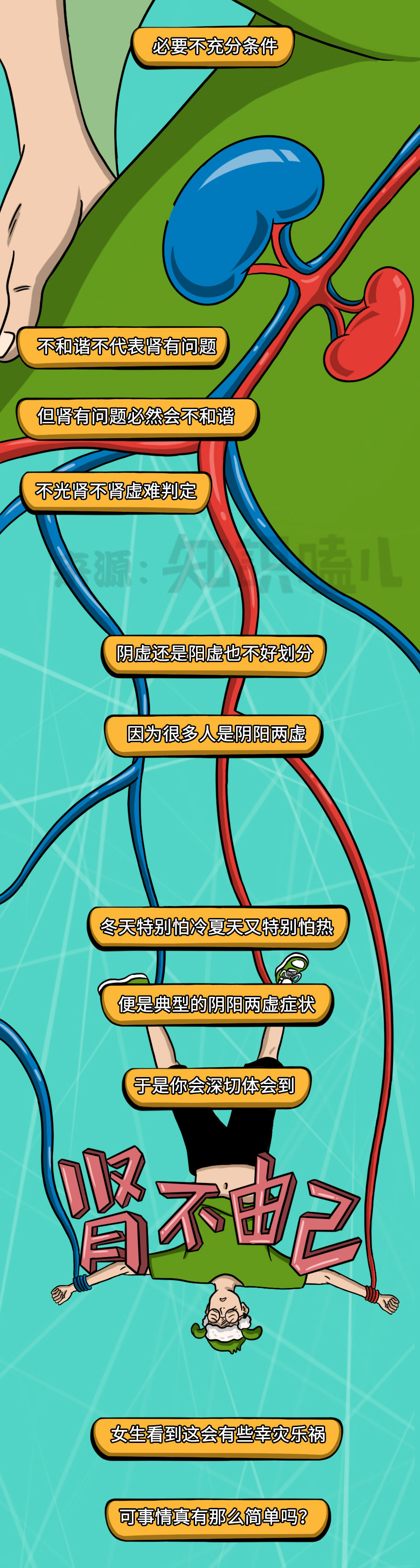 补肾|中国人所谓的补肾，很可能是在“雪上加霜”