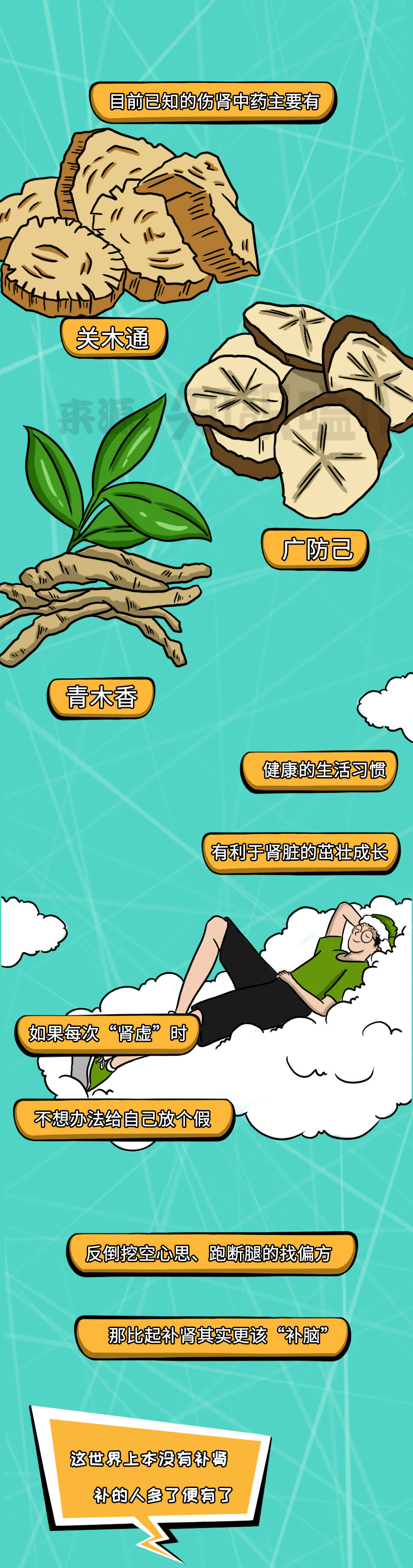 补肾|中国人所谓的补肾，很可能是在“雪上加霜”