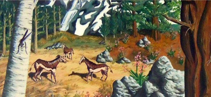 科学|46亿岁的地球，会被出现不足20万年的人类毁灭吗？