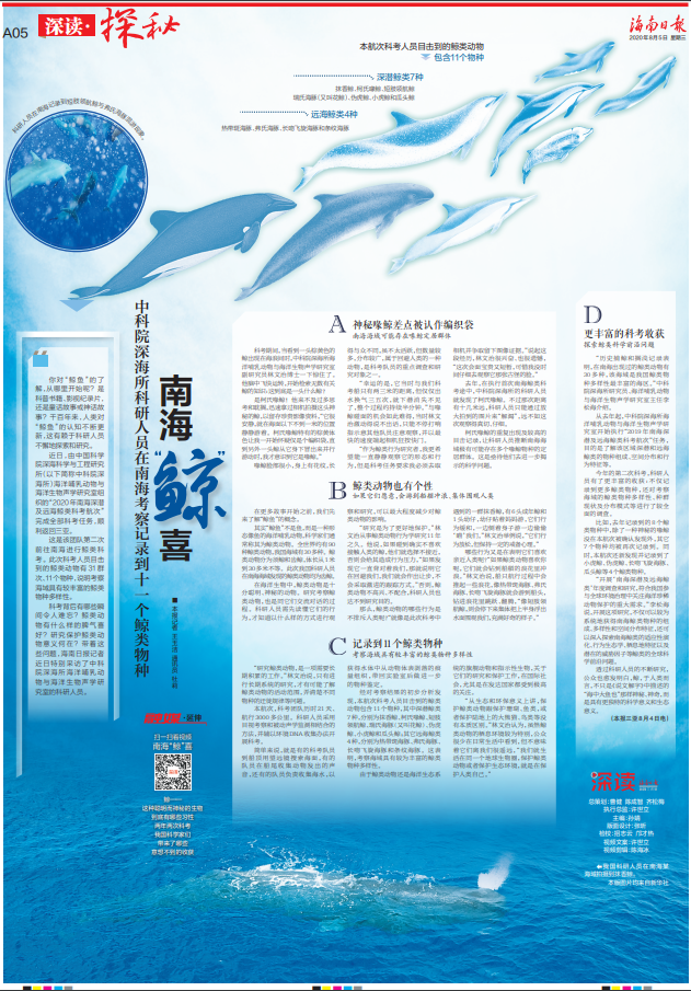 海豚|今天,带你认识一群梦幻般的“邻居”!