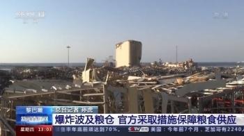 贝鲁特|黎巴嫩贝鲁特爆炸后续丨粮仓、电力大楼遭冲击 无家可归居民或达30万