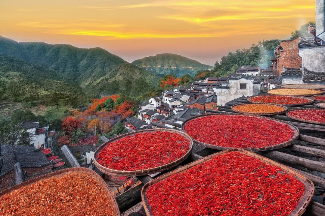 立秋|今日立秋，和孩子一起做这6件事吧！｜特别关注