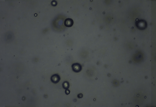 科技|弱不禁风的小气泡，却拥有危及一座大坝的“超能力”