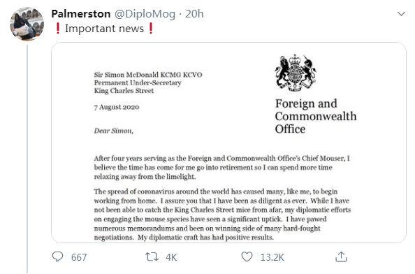 经济日报|萌猫“退休”！英外交部“首席捕鼠官”将卸任
