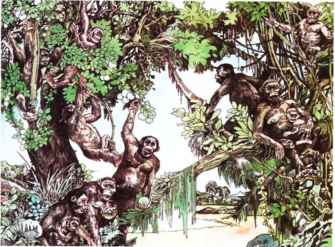 食草动物|为什么人类只吃食草动物，而不吃食肉动物？是不好吃吗？