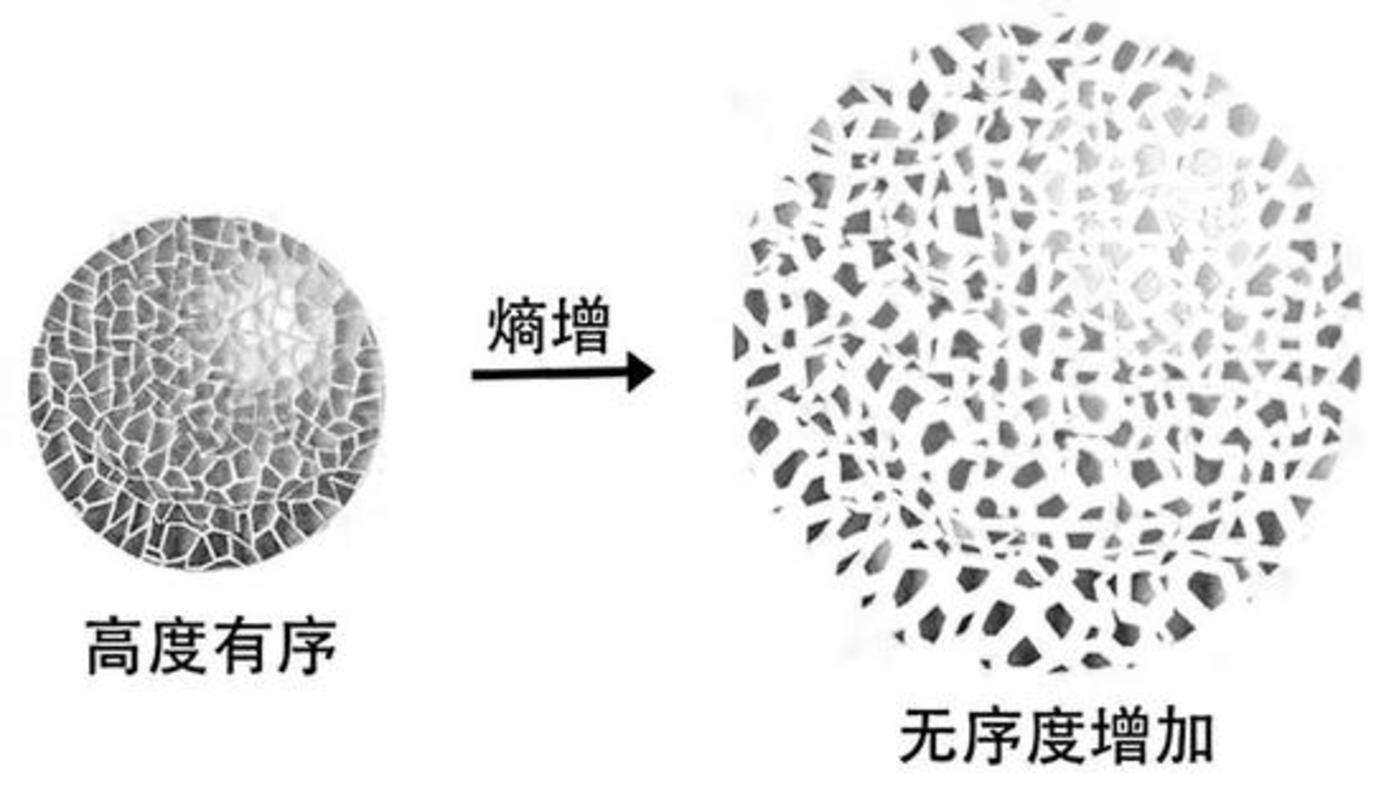 科学|为什么地球生物都无法实现“长生”，是谁对生物下的禁锢？