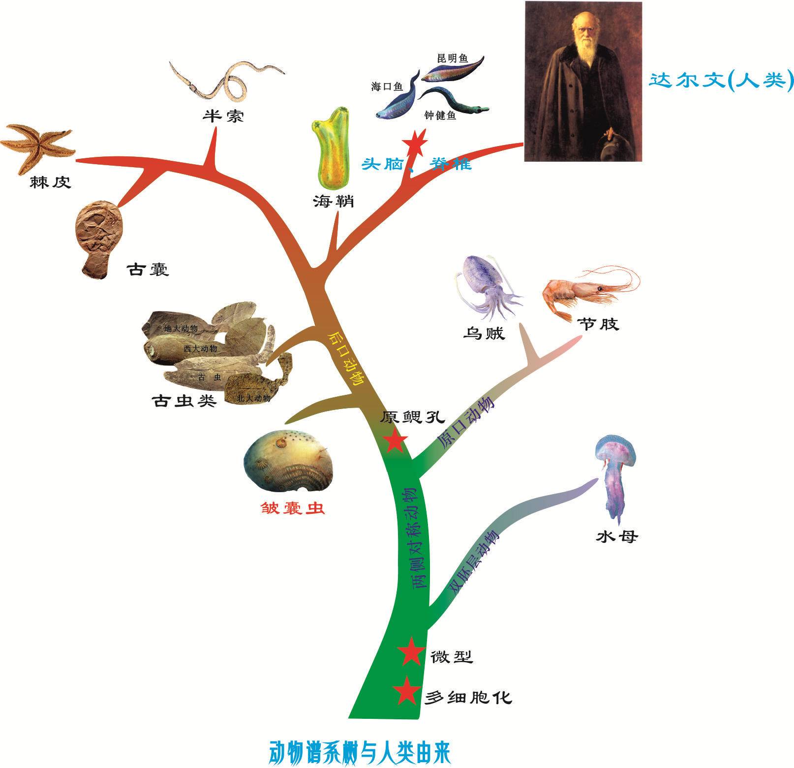 科学|为什么地球生物都无法实现“长生”，是谁对生物下的禁锢？