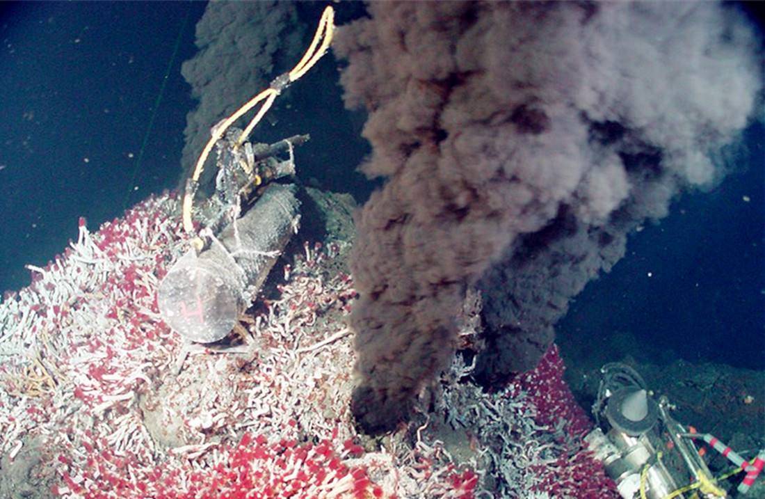 科学|40亿年前的一个细胞，是怎样演化成了如今的人类？