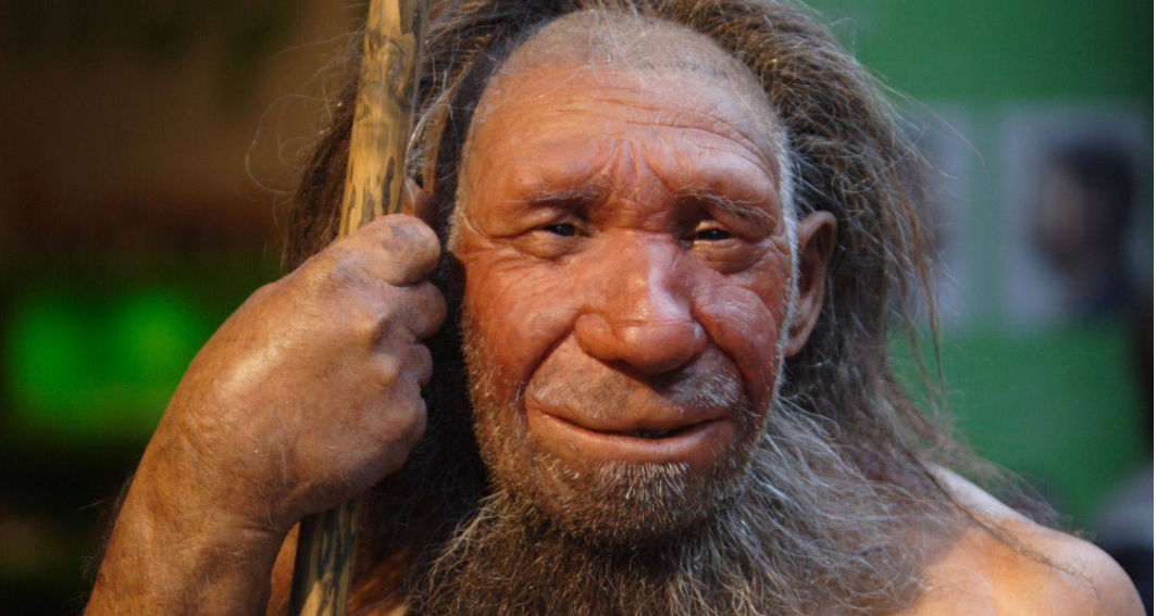 科学|40亿年前的一个细胞,是怎样演化成了如今的人类?