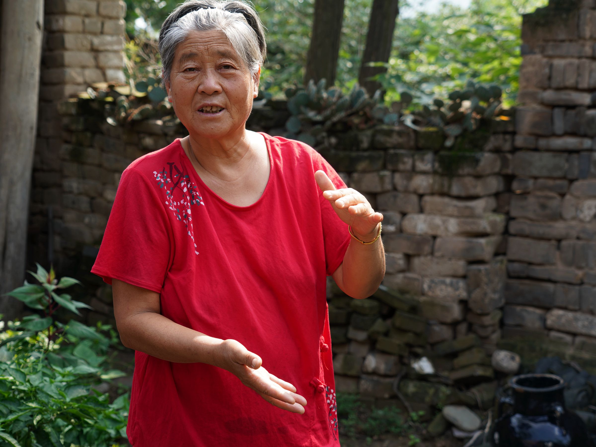 6旬农民大妈家长出1棵野人参枝繁叶茂万元不卖看看啥样