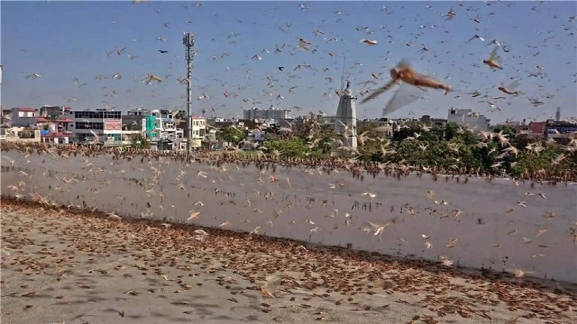 塔克拉玛干沙漠|塔克拉玛干沙漠中下暴雨为什么不会形成绿洲？