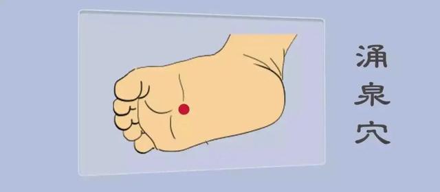 养生|「养生建议」好肾全靠养！多吃“2黑1白”，常揉3个部位