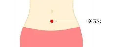 养生|「养生建议」好肾全靠养！多吃“2黑1白”，常揉3个部位