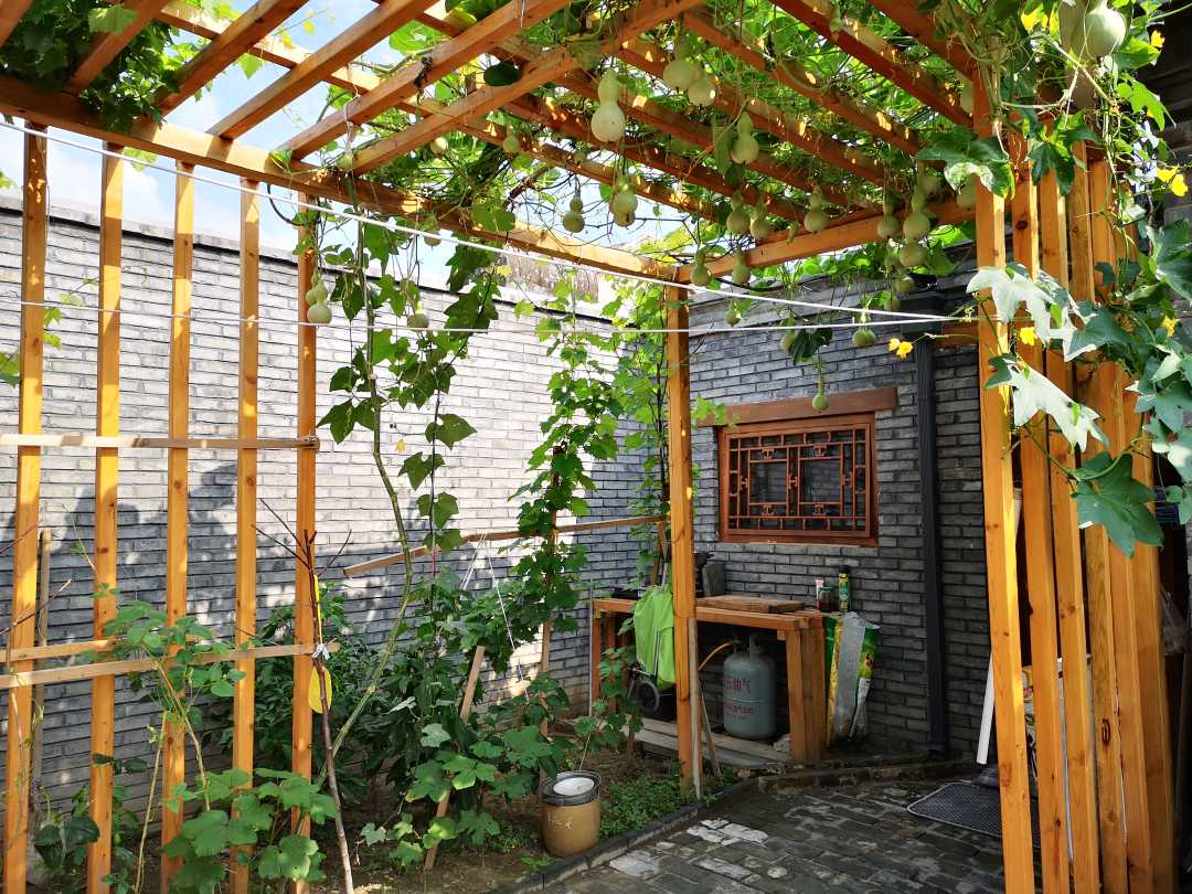 胡同|在老胡同里过上现代生活