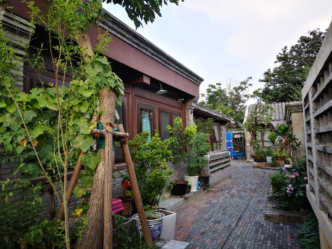 胡同|在老胡同里过上现代生活