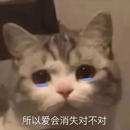 哈哈学车|“车没学会，教练疯了……”学车趣事笑死人哈哈哈哈