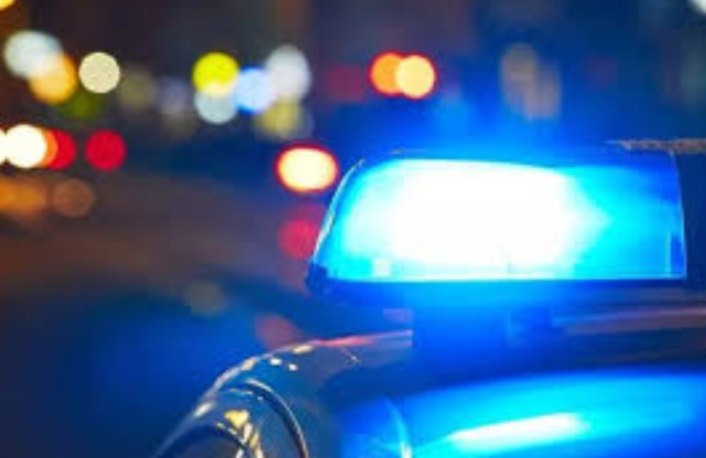 国际社会|花样作死：日本网红车站内大音量播放成人视频被捕