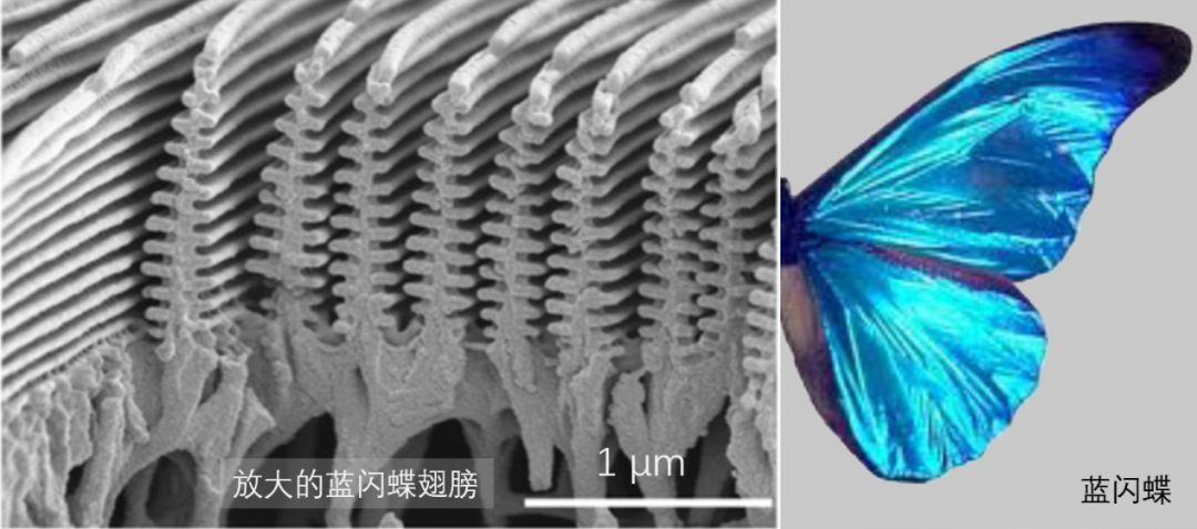 彩虹|彩虹色的巧克力是什么,吃起来更香吗?