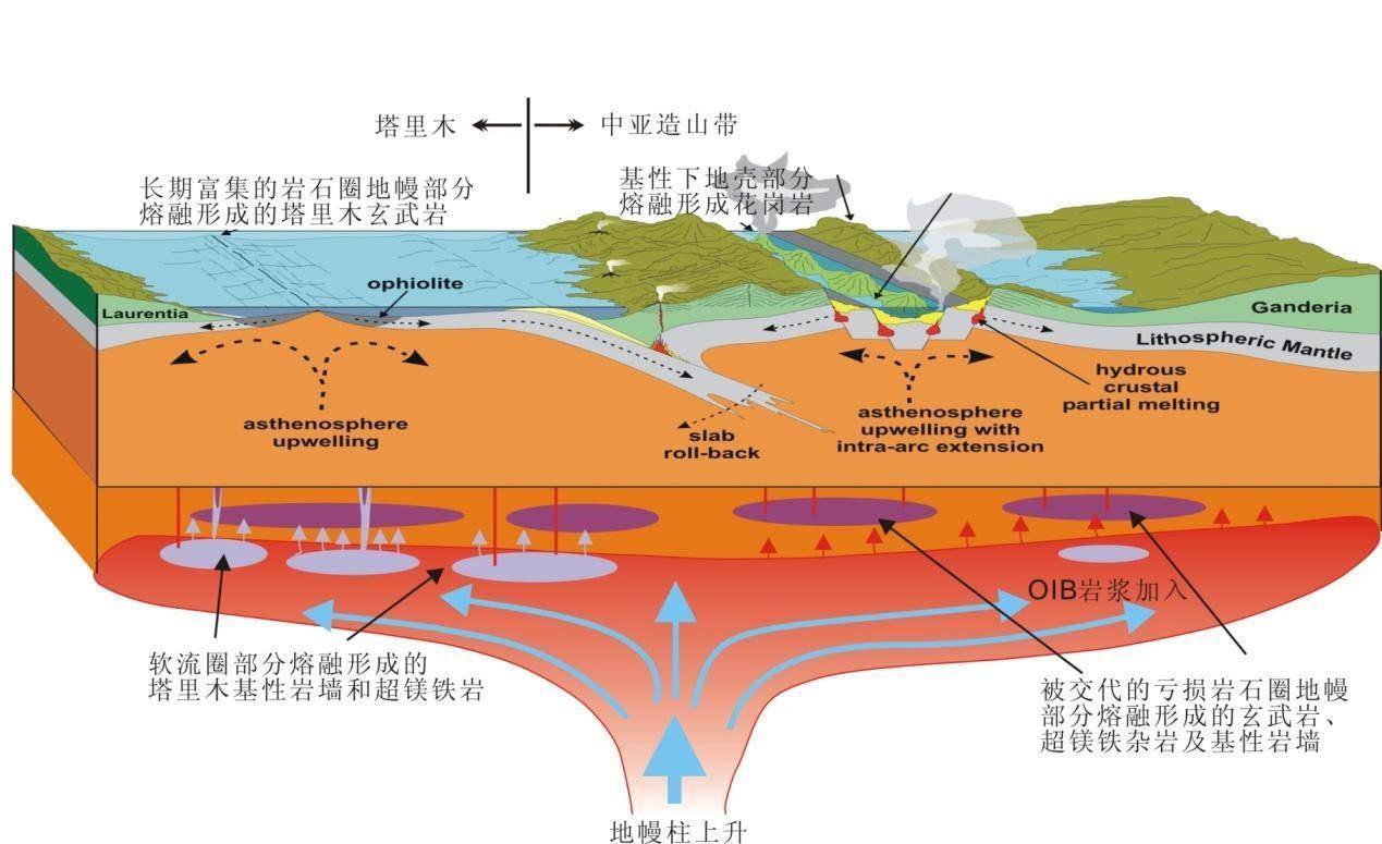 科学|地球上5次生物大灭绝，分别是什么原因造成的？