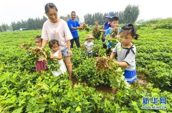 剧院|坐在剧院看场戏，解馋！