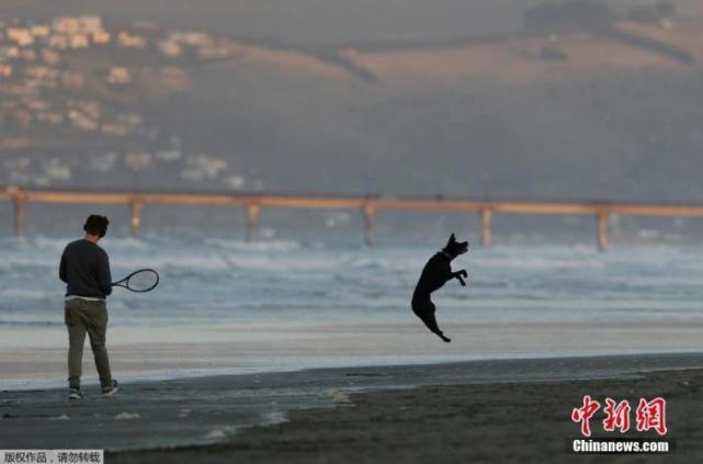 环球时报|新西兰新增确诊13例 已排除新一轮疫情源自冷冻食品