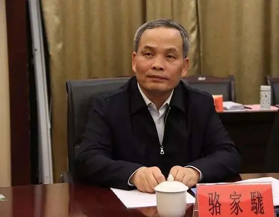 中粮集团|骆家駹被查