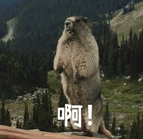 信息安全|细思极恐！竟有人用你的手机“偷窥”你……