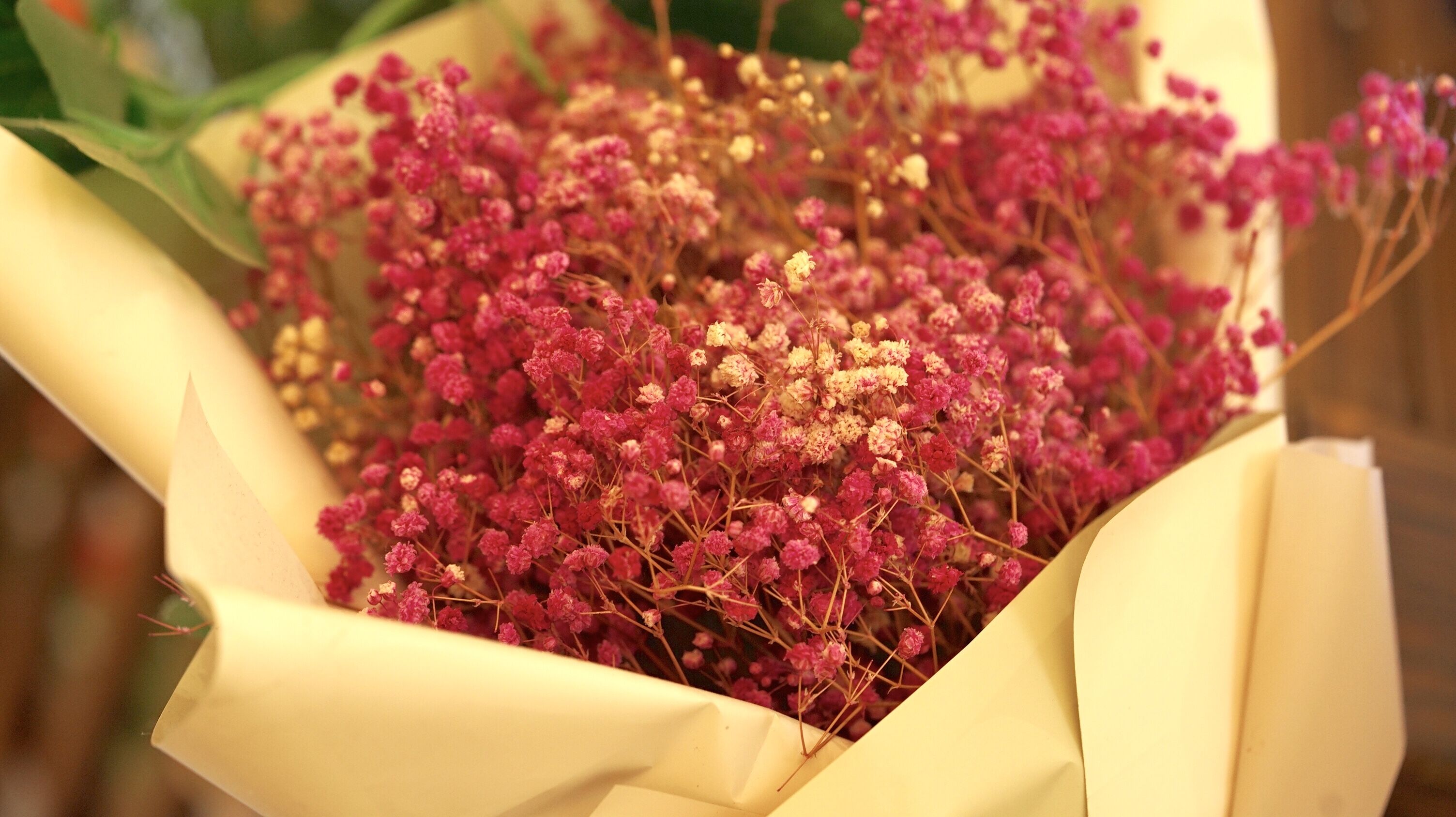 读书|一个人越活越好的样子