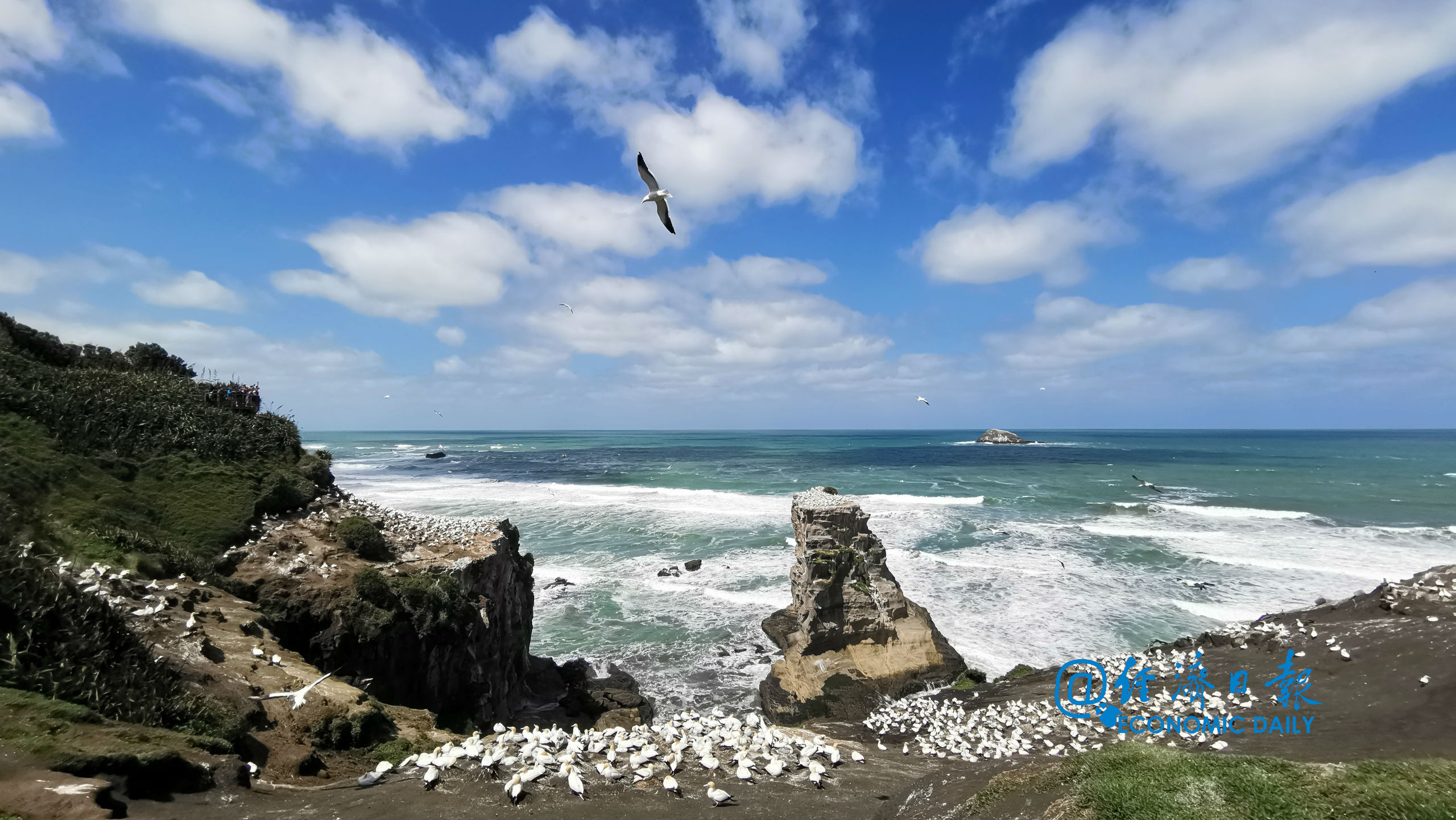 读书|一个人越活越好的样子