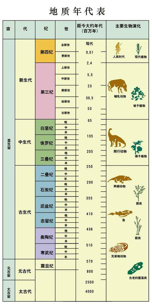 恐龙|同样都是恐龙称霸，侏罗纪和白垩纪环境有什么区别？