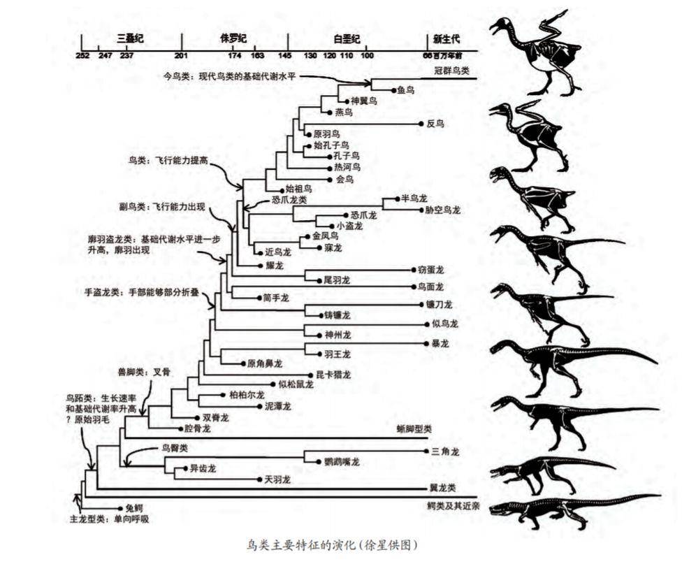 恐龙|同样都是恐龙称霸，侏罗纪和白垩纪环境有什么区别？