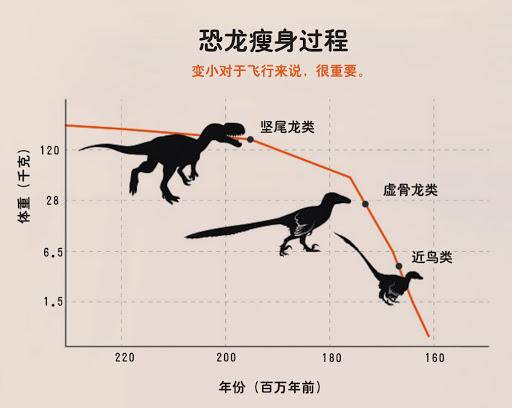 恐龙|同样都是恐龙称霸，侏罗纪和白垩纪环境有什么区别？