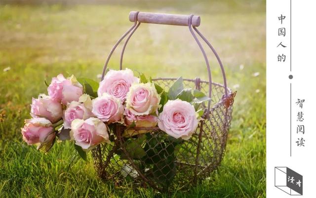 人文|最高级的聪明，是会讲故事（深度）