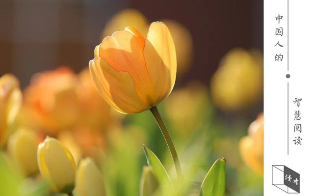 人文|最高级的聪明，是会讲故事（深度）