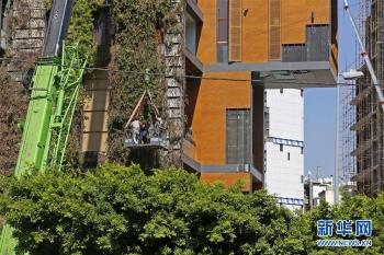台海网|贝鲁特:重建家园「组图」